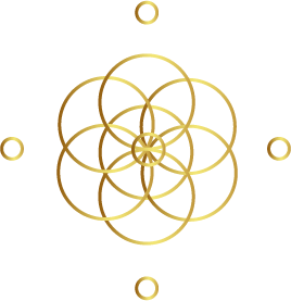 [ADN]=Soin[KI+NTU]