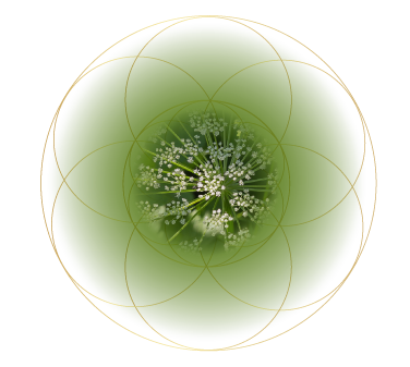 NTI BA (Galbanum)